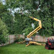 Best Lawn Drainage Solutions  in Cerritos, CA